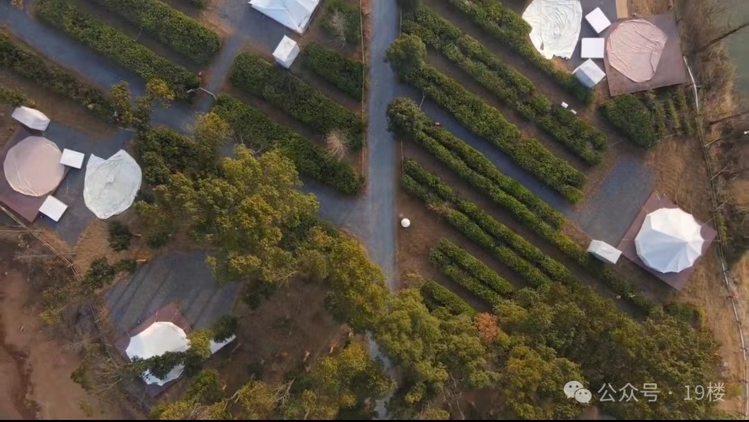 订单已排到10月！杭州有人为此3年花了6万