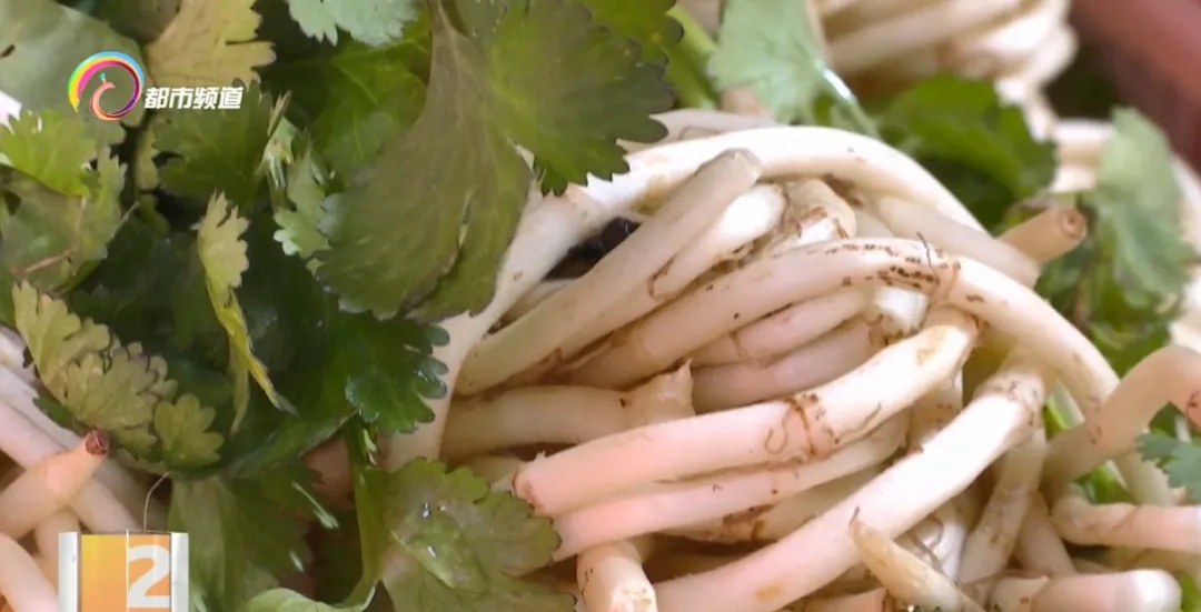 云南这道凉拌菜是天然抗炎物，能治肺炎？医生：不能代替药品