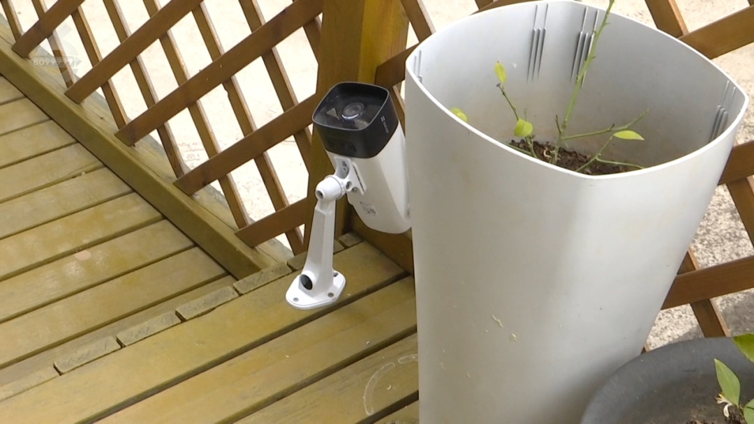 太恶心！小区有人多次高空抛“污”，监控拍下全过程