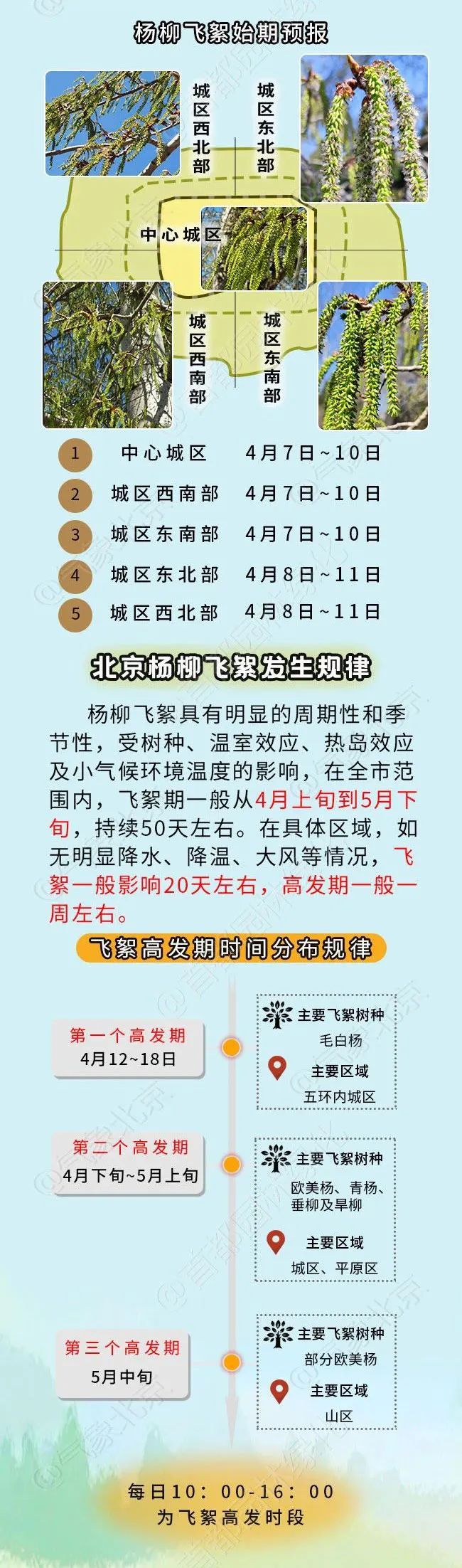 杨柳絮易燃 防火莫大意