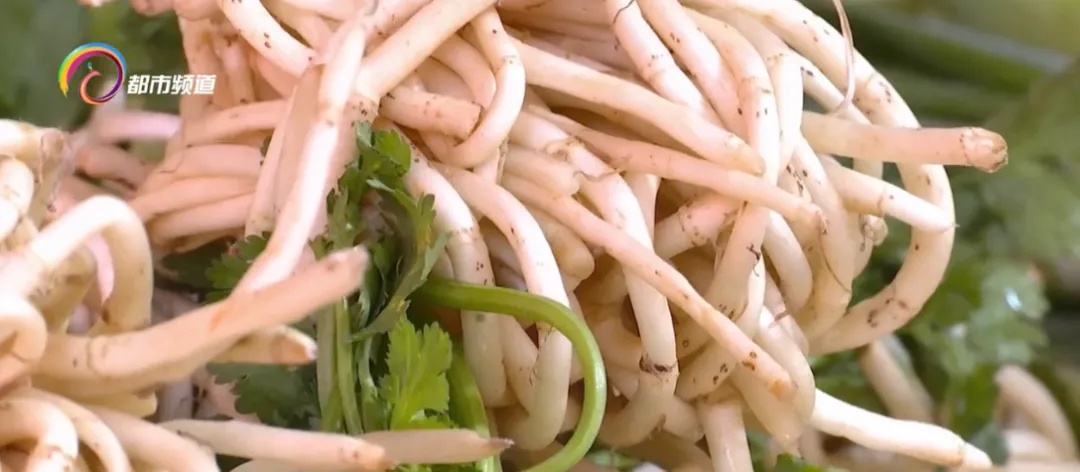 云南这道凉拌菜是天然抗炎物，能治肺炎？医生：不能代替药品