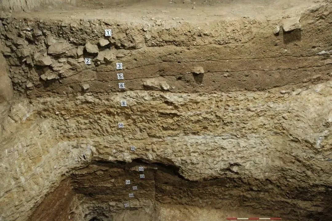 距今三四万年!柳州重大考古发现,比肩北京周口店,位置就在→ 距今三四万年!柳州重大考古发现,比肩北京周口店,位置就在→