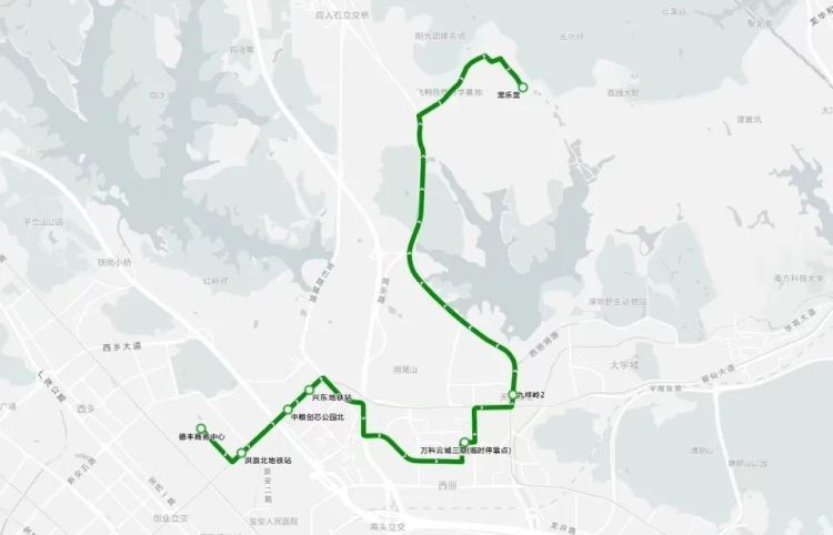 深圳首条宠物友好巴士试开通，网友：可以去撸猫撸狗吗？