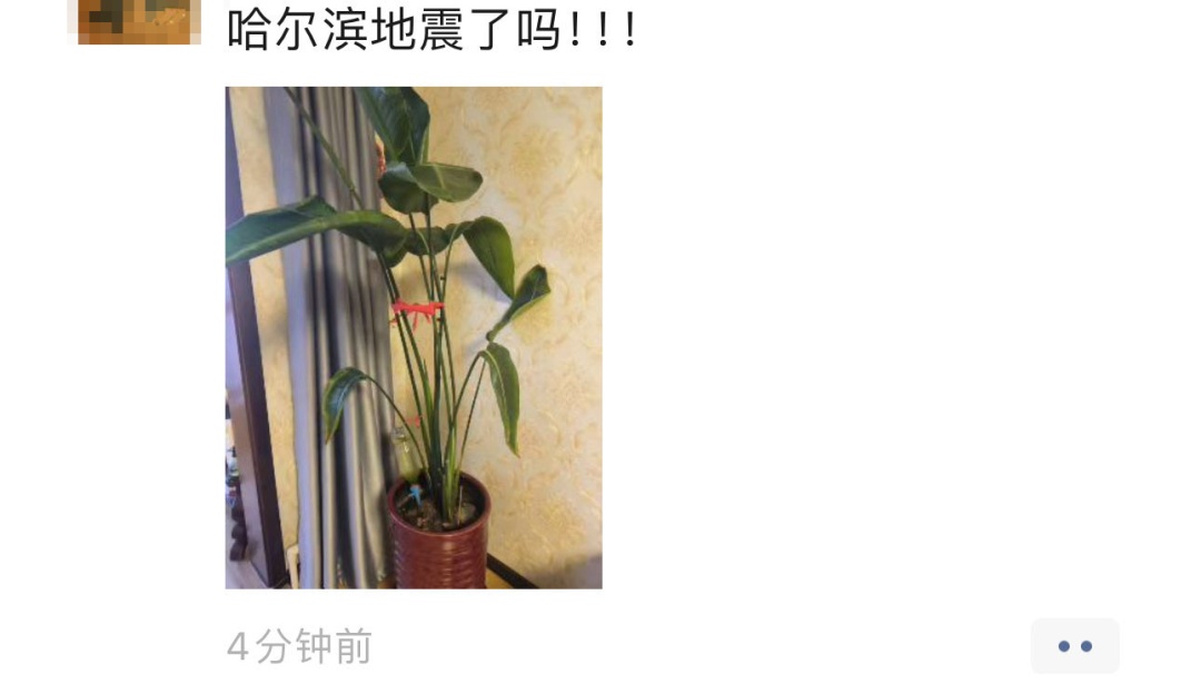 刚刚,吉林松原发生地震!哈尔滨网友称有震感~ 刚刚,吉林松原发生地震!哈尔滨网友称有震感~