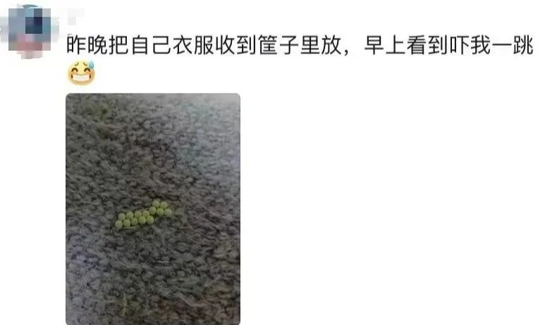 阳台收衣服要小心!多地已出现 阳台收衣服要小心!多地已出现