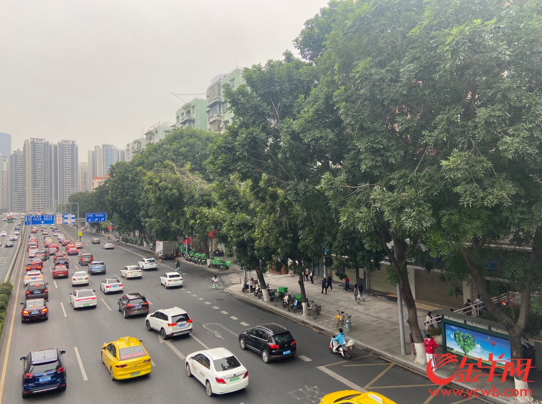 港澳车“北上”注意！不能驶出广东省