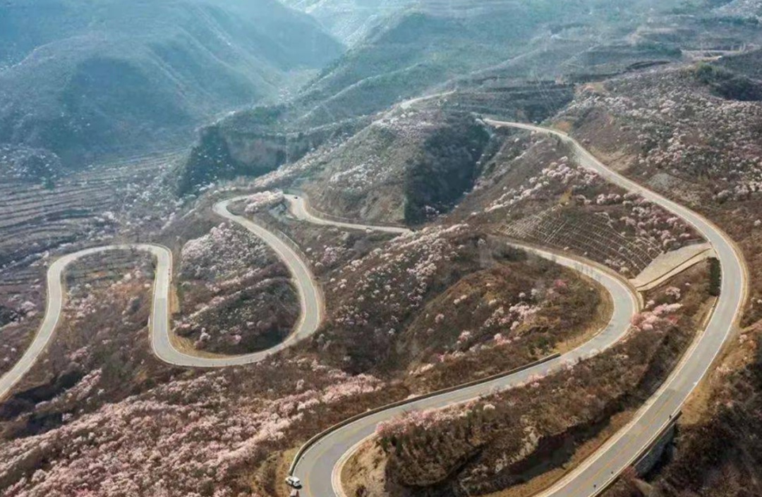 北京这五条路等您来打卡!四季有景、三季有花 北京这五条路等您来打卡!四季有景、三季有花