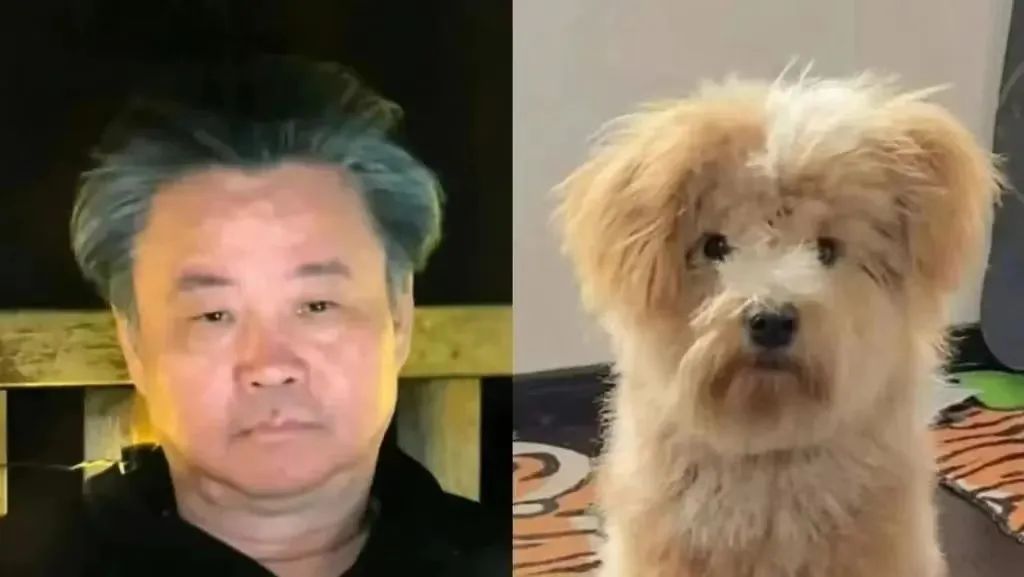 莫言和余华的微信头像火了！