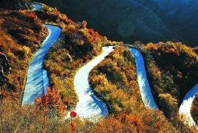 北京这五条路等您来打卡!四季有景、三季有花 北京这五条路等您来打卡!四季有景、三季有花