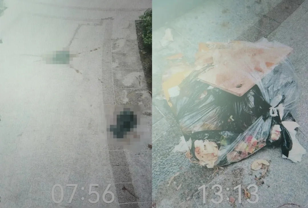 一女子多次高空抛粪，法院判了