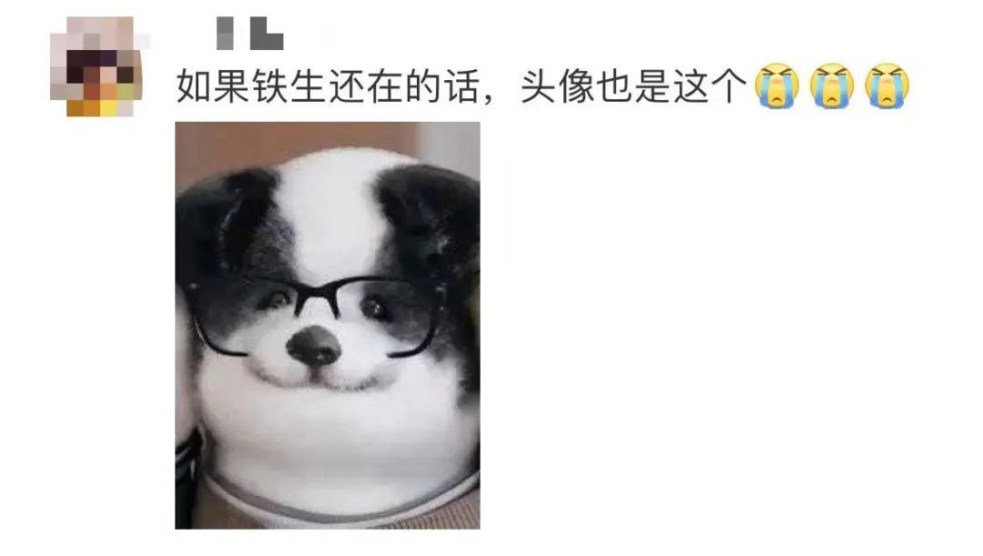 莫言和余华的微信头像火了！