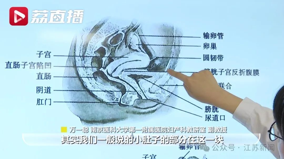 女生的小肚子保护子宫卵巢?真相扎心…… 女生的小肚子保护子宫卵巢?真相扎心……