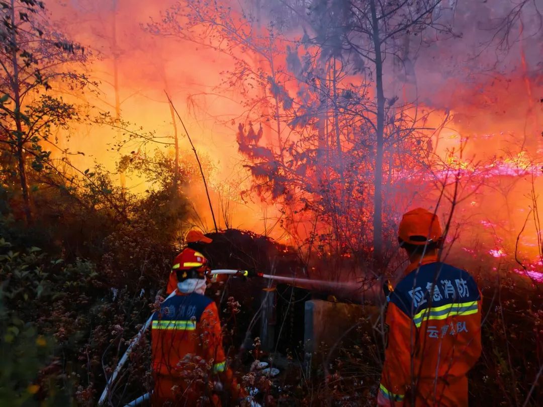 近期多发!昆明已有多人因此获刑 近期多发!昆明已有多人因此获刑