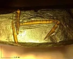 秦始皇两辆豪车终于停一起了！