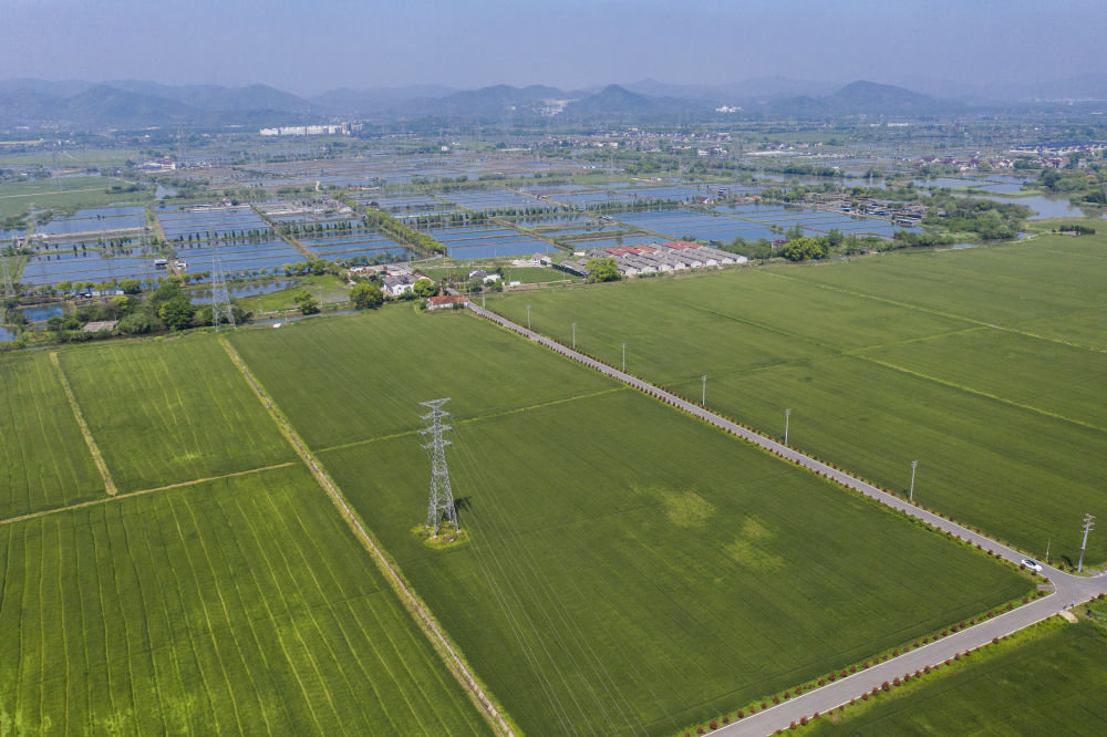 谷雨时节万亩麦田植保忙 谷雨时节万亩麦田植保忙