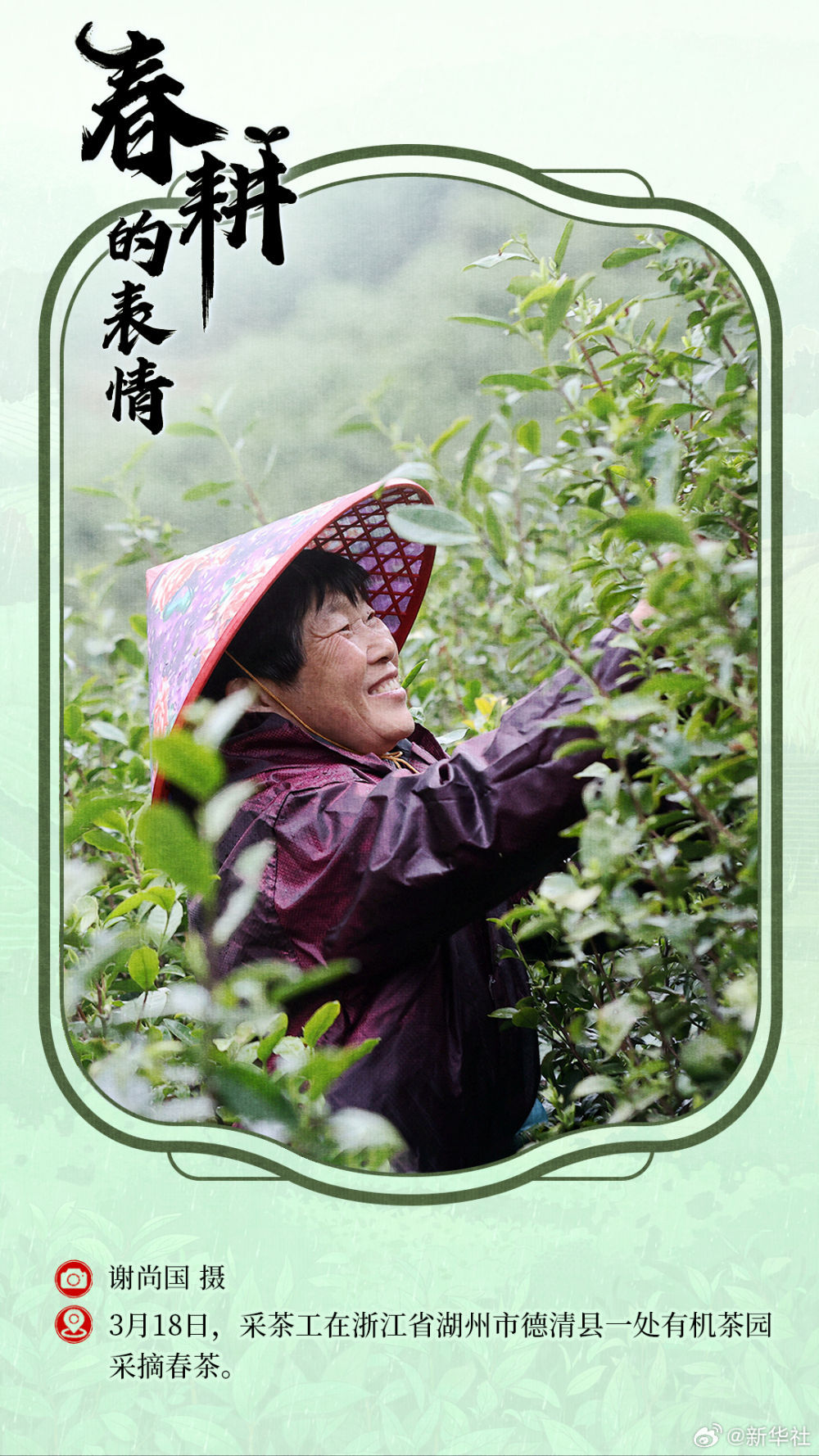 春耕的表情 春耕的表情