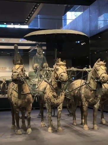 秦始皇帝陵两乘铜车马终于团圆
