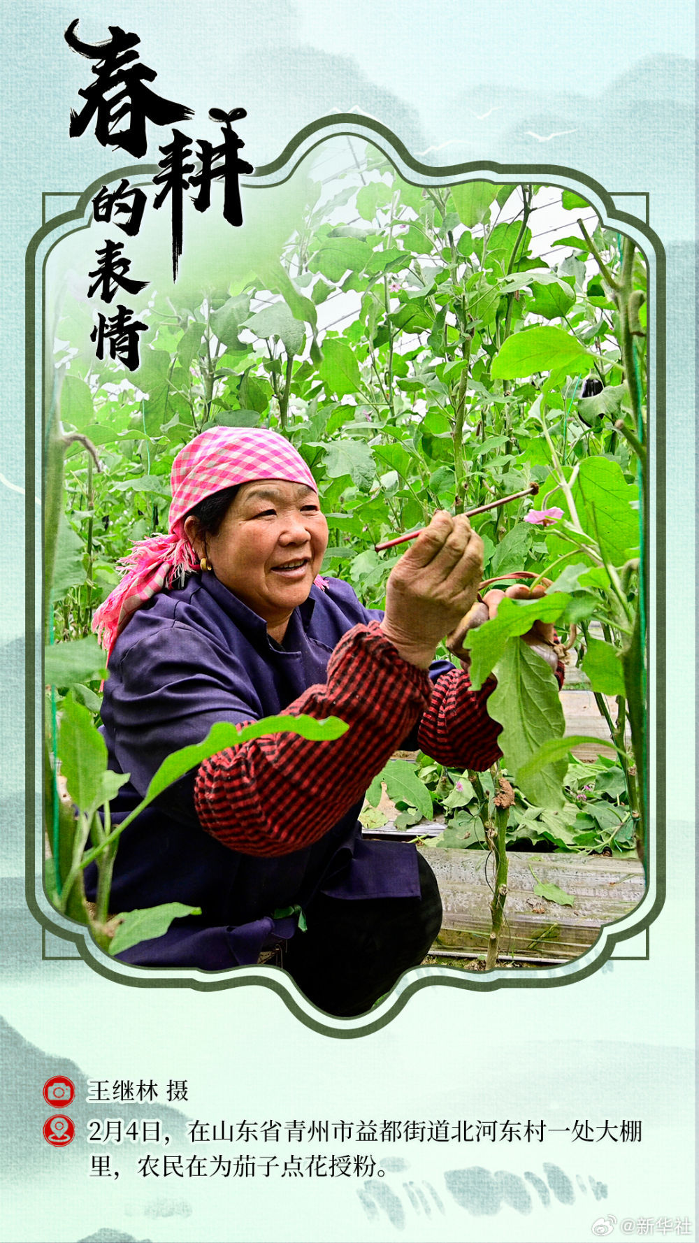 春耕的表情 春耕的表情