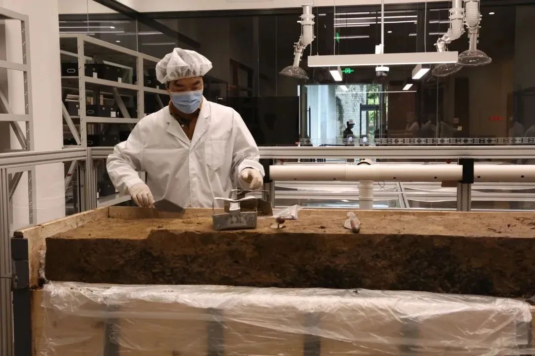 00后已经开始研究三星堆了?“不止!连‘坑长’都是80后和90后!” 00后已经开始研究三星堆了?“不止!连‘坑长’都是80后和90后!”