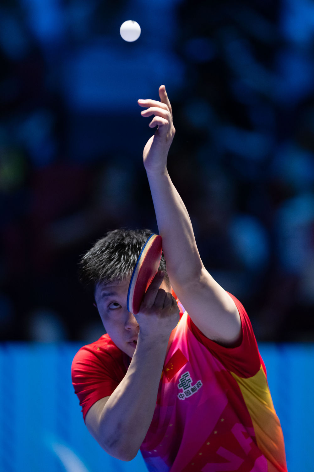 国际乒联男子世界杯马龙晋级八强