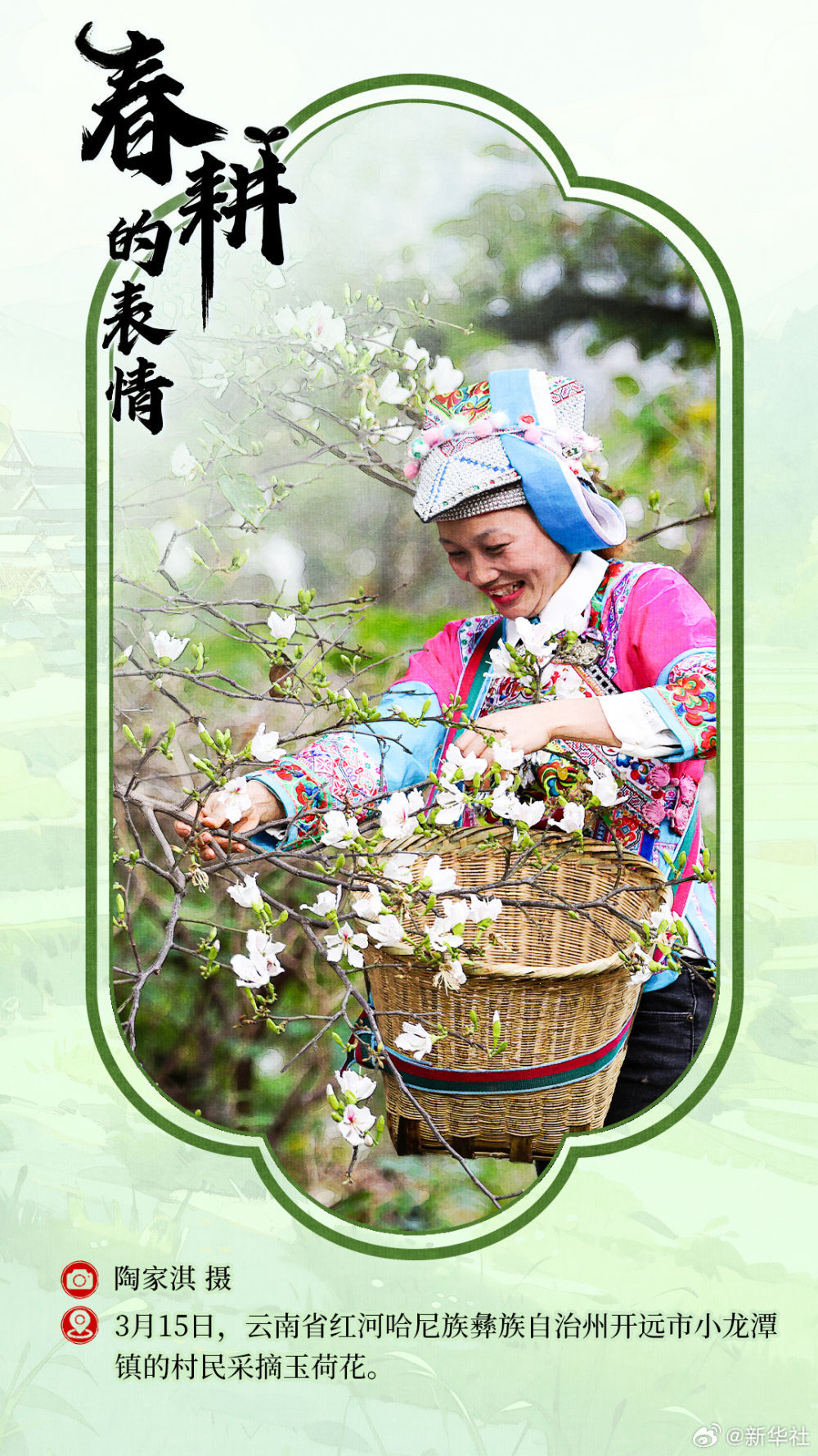 春耕的表情 春耕的表情