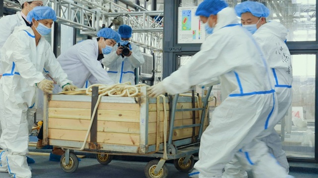 00后已经开始研究三星堆了?“不止!连‘坑长’都是80后和90后!” 00后已经开始研究三星堆了?“不止!连‘坑长’都是80后和90后!”