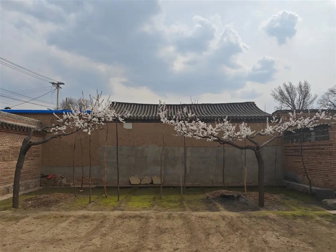 他把岁月写在墙上,密密麻麻的文字记录了他的一生 他把岁月写在墙上,密密麻麻的文字记录了他的一生