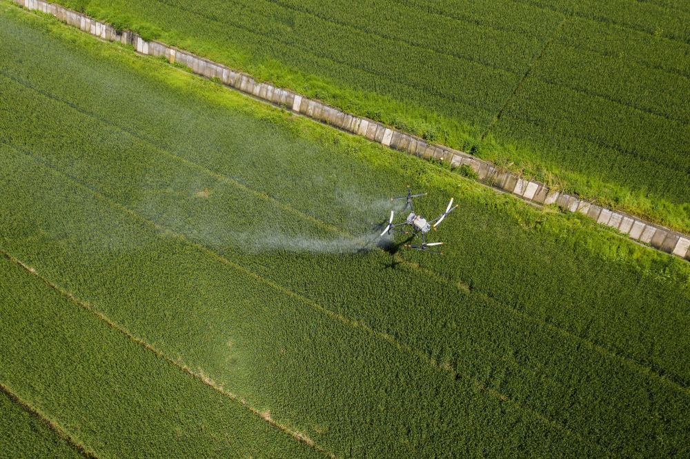谷雨时节万亩麦田植保忙 谷雨时节万亩麦田植保忙
