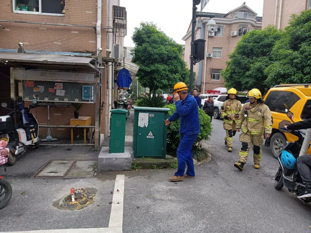 家中断电，男子打开配电箱：藏着1.3米的“大家伙”！