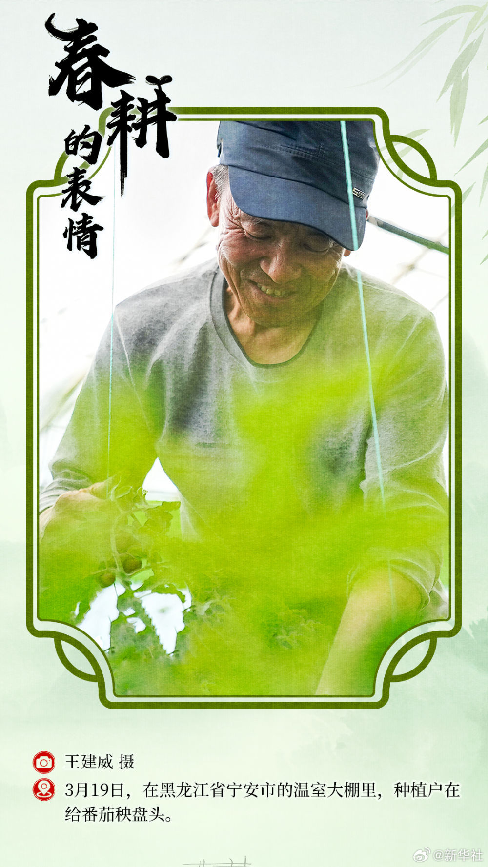 春耕的表情 春耕的表情