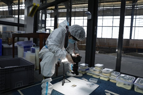 00后已经开始研究三星堆了?“不止!连‘坑长’都是80后和90后!” 00后已经开始研究三星堆了?“不止!连‘坑长’都是80后和90后!”