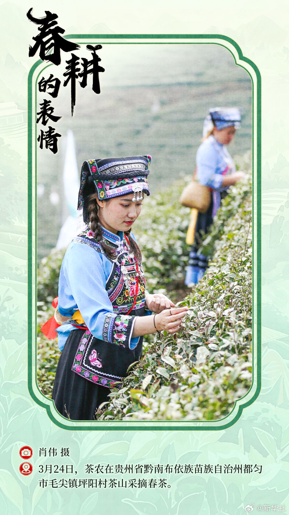 春耕的表情 春耕的表情