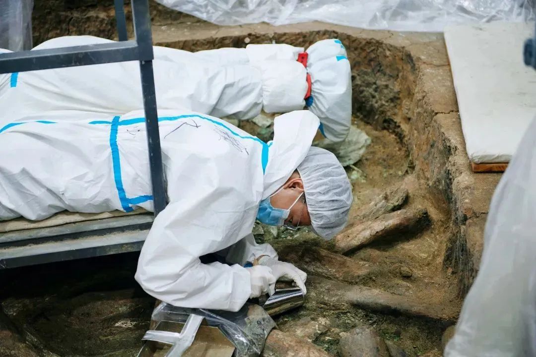 00后已经开始研究三星堆了?“不止!连‘坑长’都是80后和90后!” 00后已经开始研究三星堆了?“不止!连‘坑长’都是80后和90后!”