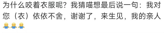 “猫咪撑到主人回家咬着衣角离世”冲上热搜，宠物回馈给人们的不仅仅是陪伴……