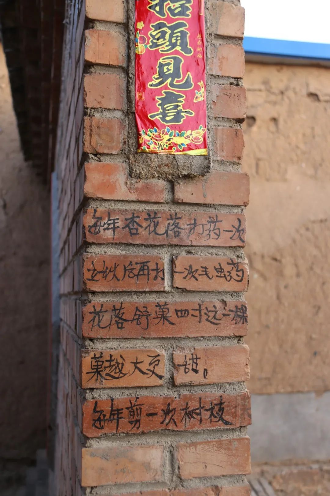 他把岁月写在砖墙上,密密麻麻的文字记录了他认认真真的一生 他把岁月写在砖墙上,密密麻麻的文字记录了他认认真真的一生