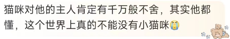 “猫咪撑到主人回家咬着衣角离世”冲上热搜，宠物回馈给人们的不仅仅是陪伴……