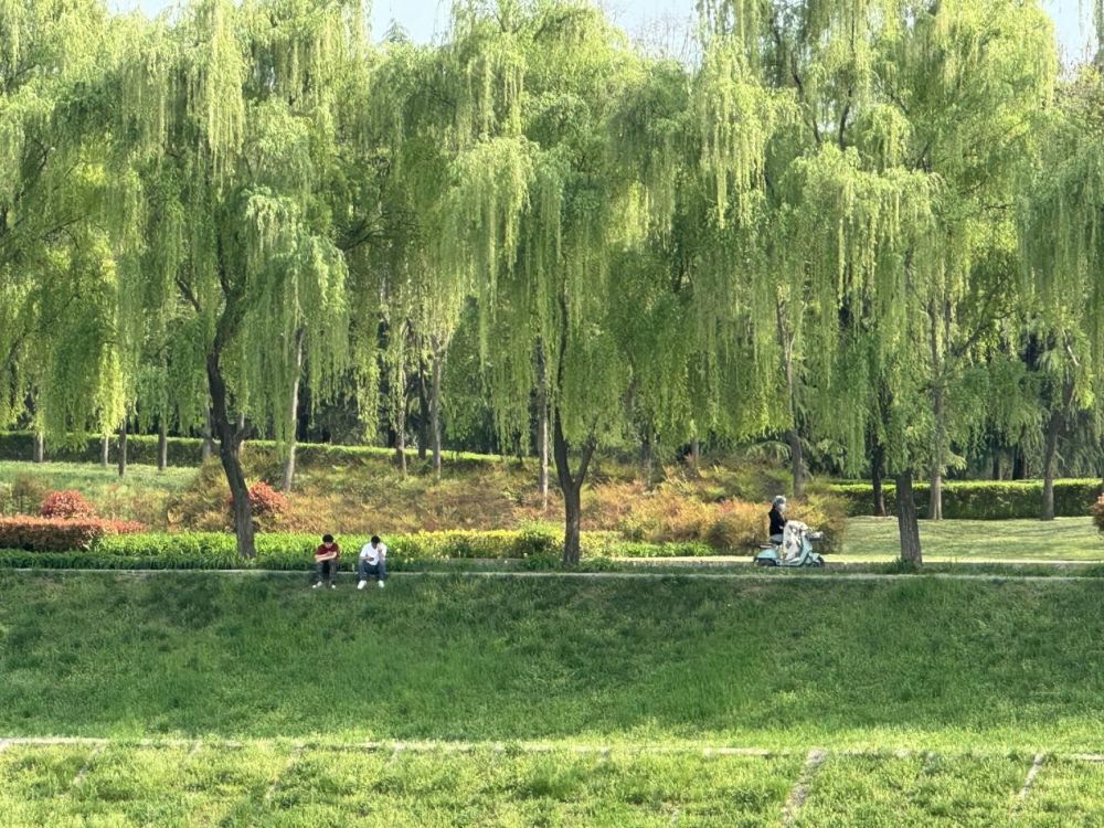 西安高新区：绿色剪影中感受“公园20分钟”