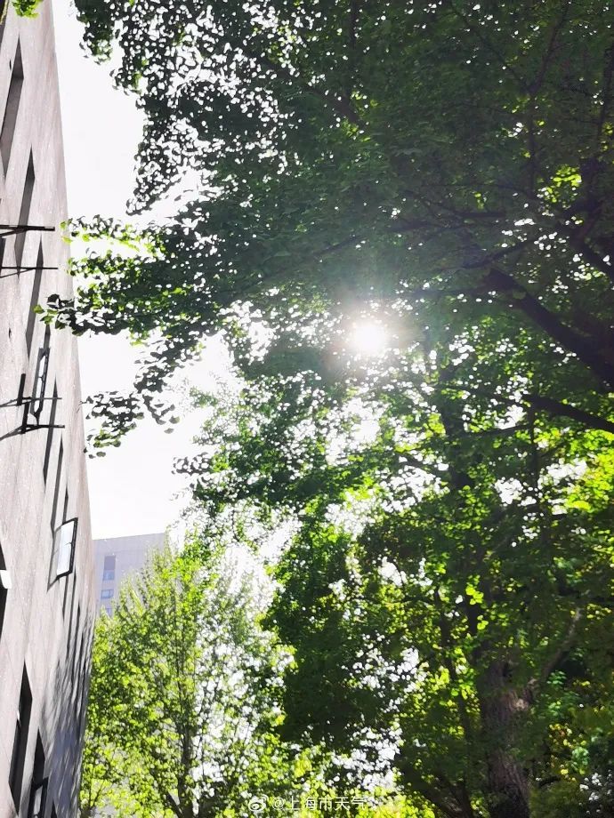 上海晴暖最高23℃，明天又有转折！弓形飑线横扫广东，白昼如黑夜