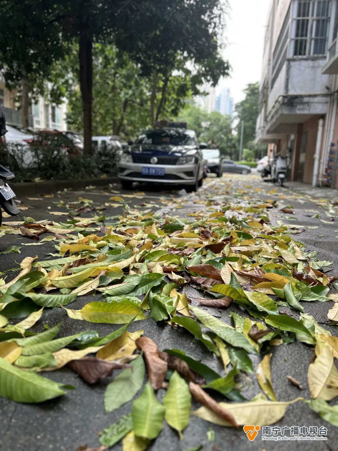雷电+狂风+暴雨！你被吵醒了吗？南宁明后天还会下雨吗？