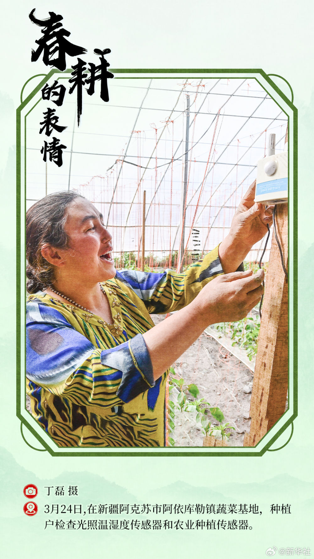 春耕的表情 春耕的表情