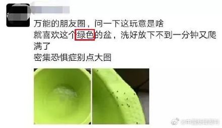 近期穿这种颜色衣服易吸小飞虫