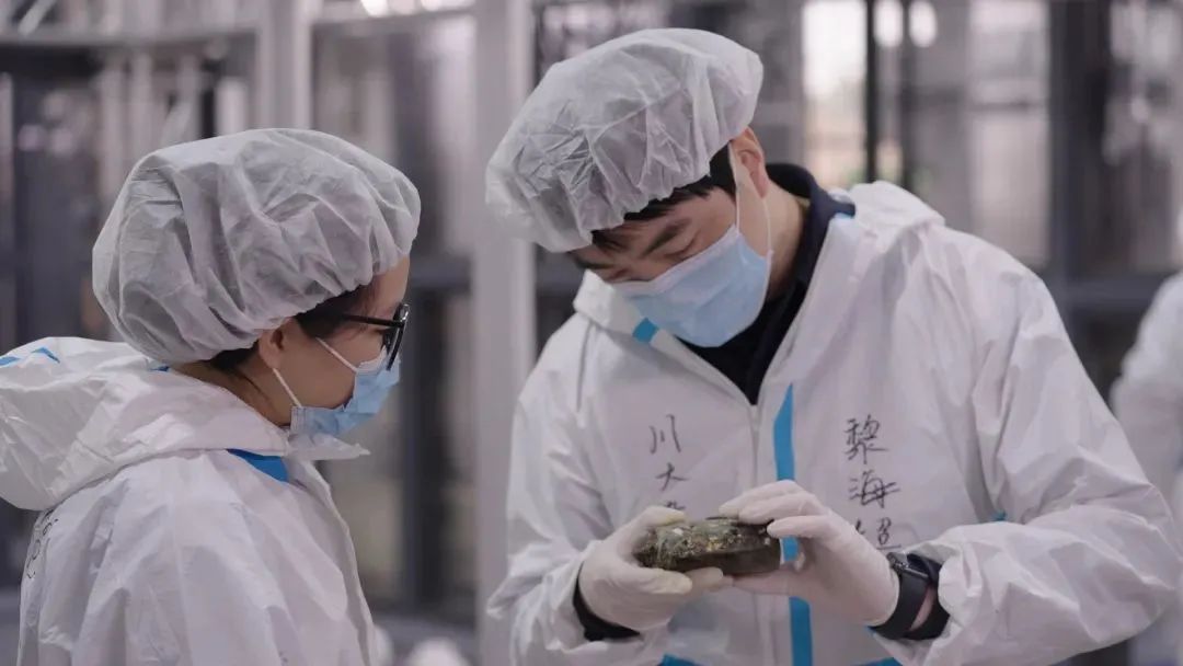 00后已经开始研究三星堆了?“不止!连‘坑长’都是80后和90后!” 00后已经开始研究三星堆了?“不止!连‘坑长’都是80后和90后!”