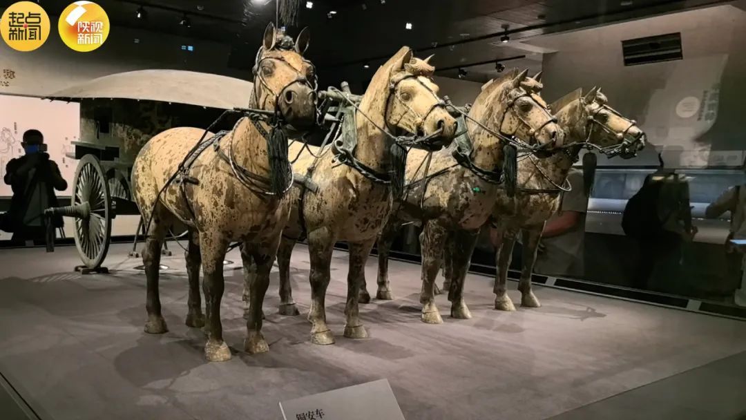 合体展出！就在秦始皇帝陵博物院！