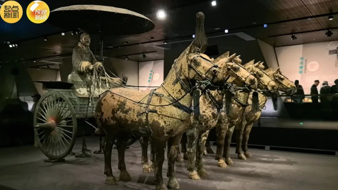 合体展出！就在秦始皇帝陵博物院！