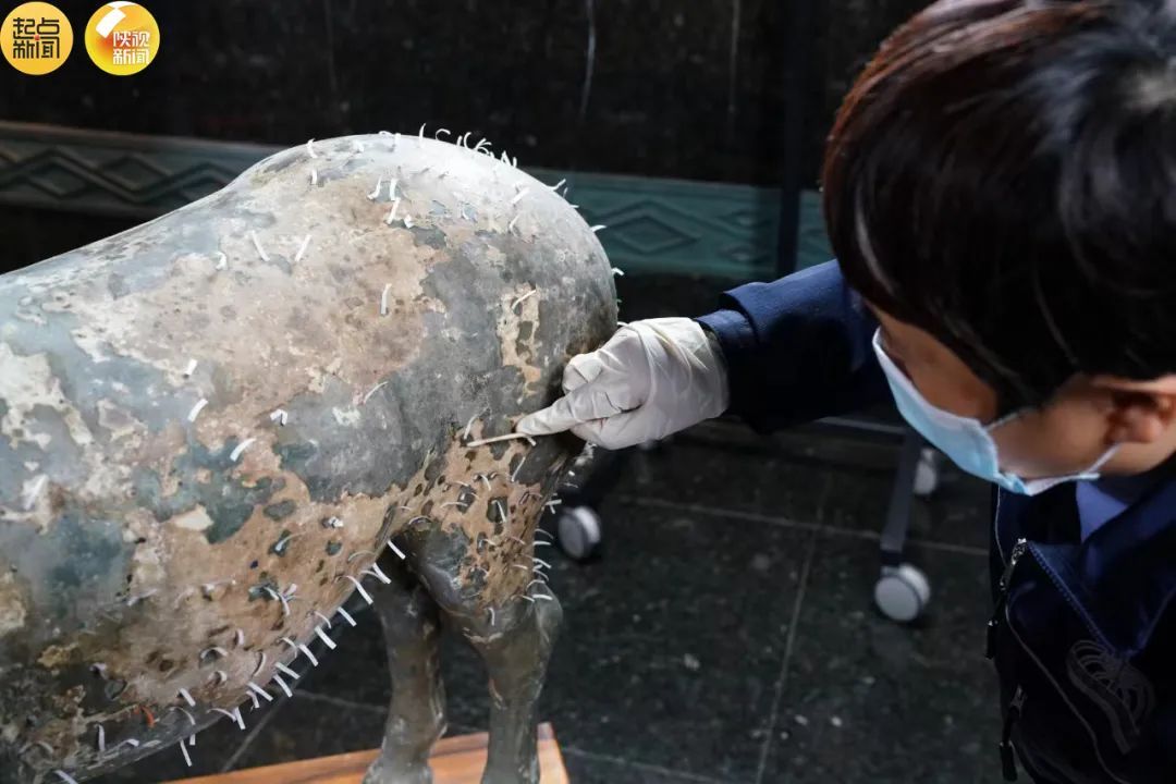 合体展出！就在秦始皇帝陵博物院！