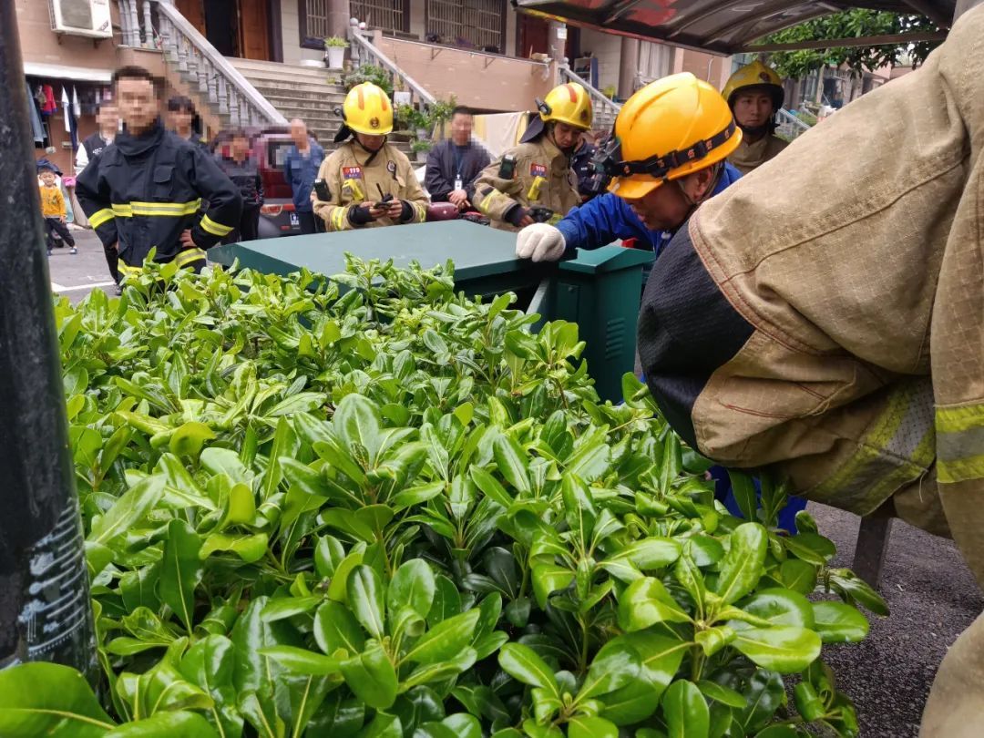 家中断电，男子打开配电箱：藏着1.3米的“大家伙”！