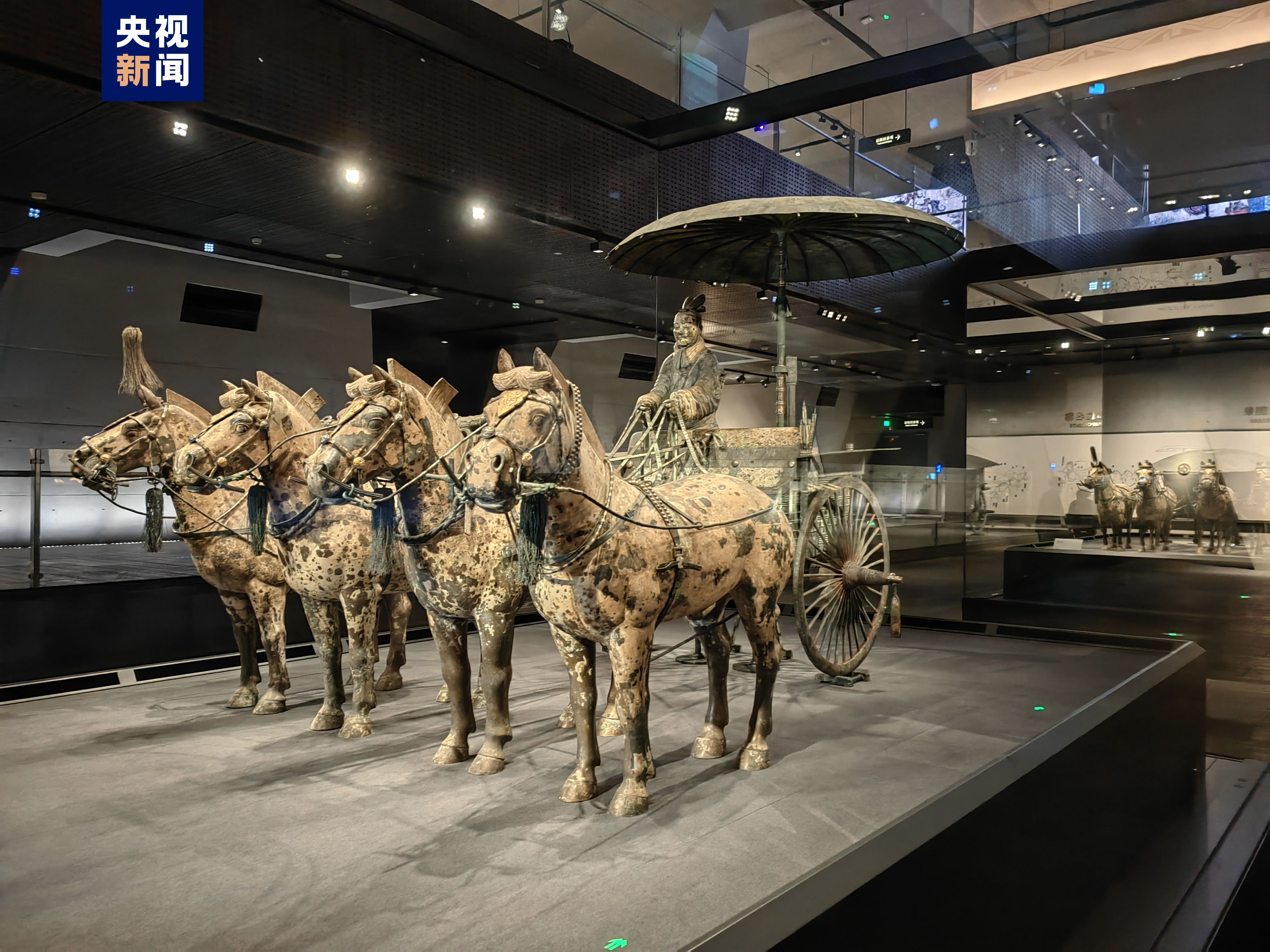 历时三年养护 秦始皇两“座驾”首次同时在出土地展出