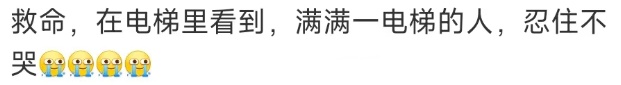 “猫咪撑到主人回家咬着衣角离世”冲上热搜，宠物回馈给人们的不仅仅是陪伴……