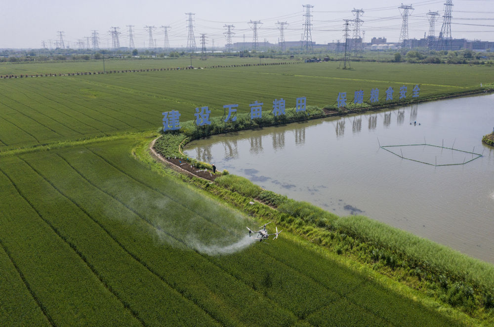 谷雨时节万亩麦田植保忙 谷雨时节万亩麦田植保忙