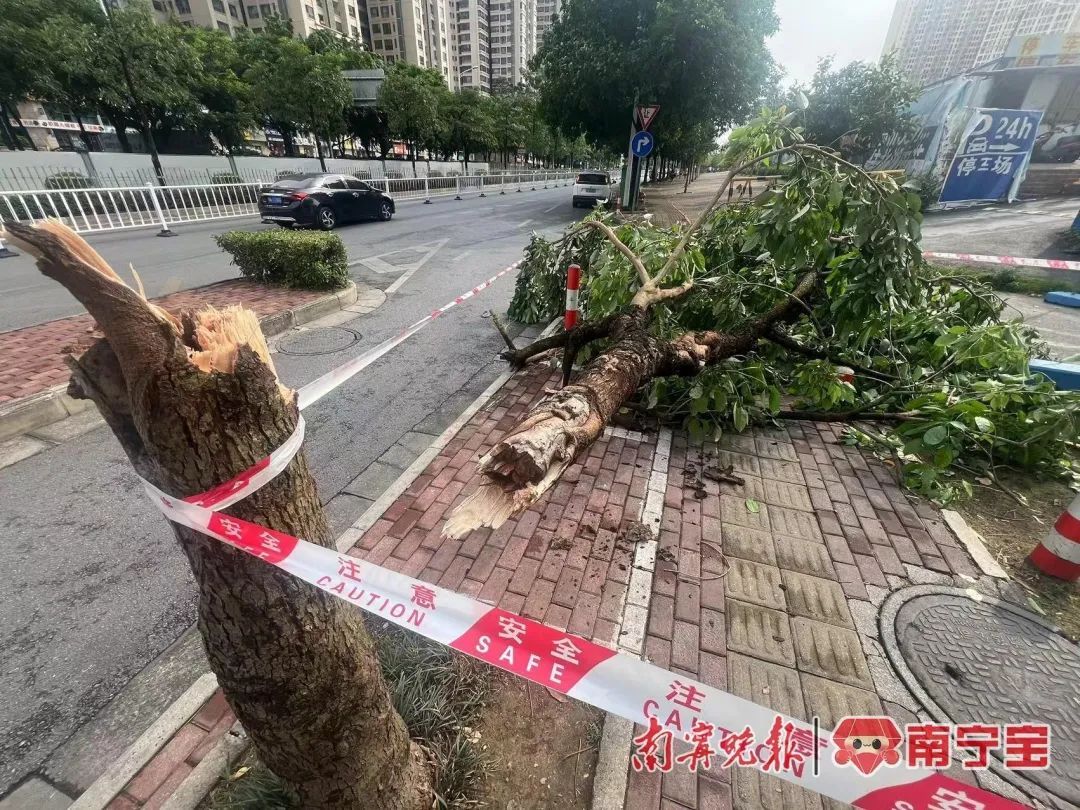 狂风暴雨凌晨来袭！南宁11级阵风破纪录